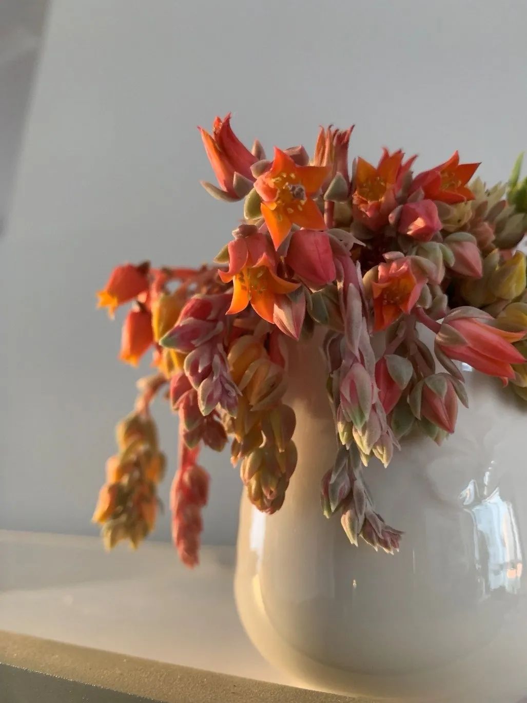 禁足的日子收获颇多,禁足