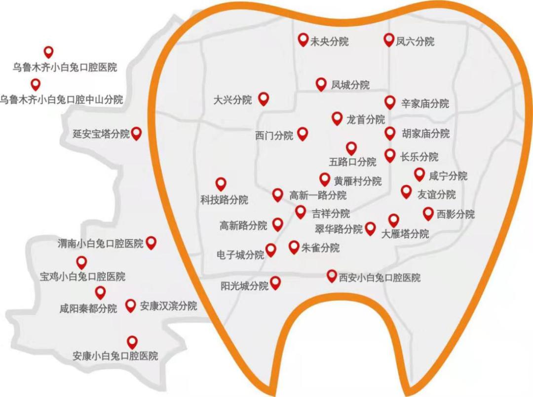 牙的生意:毛利率超过50%的陕西小白兔能上市成功吗?