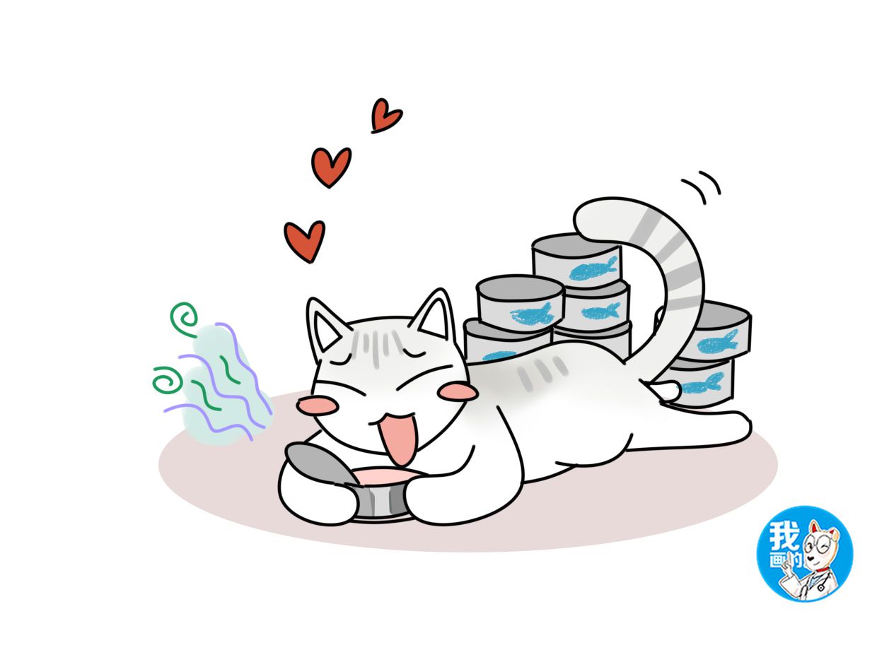 猫咪饮食冷知识,猫咪是吃货怎么办