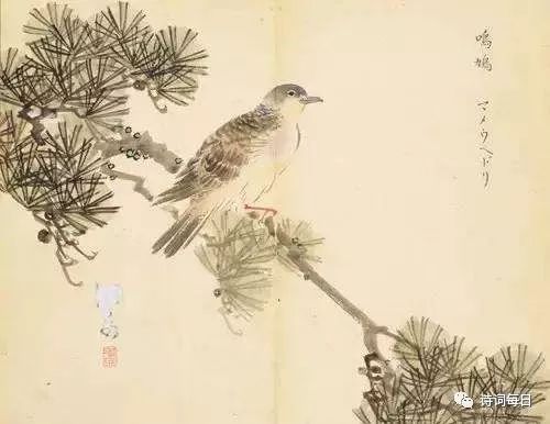 诗经国风召南全集,诗经国风召南甘棠