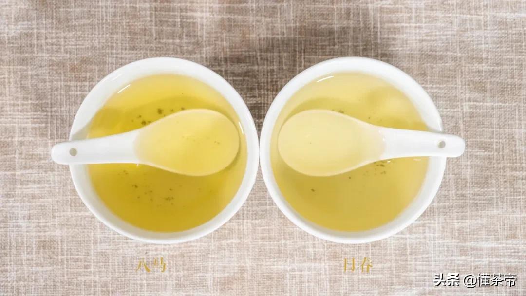 日春对比八马谁的铁观音更好,八马清香型铁观音测评