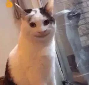 嗲!没想到开架CEZANNE、砍妹の春季彩妆也这么惹火