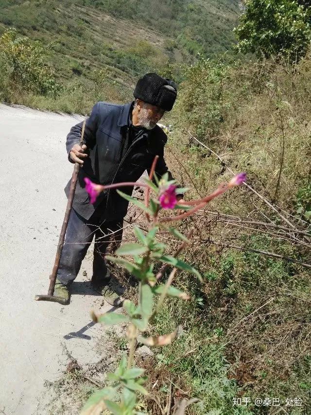 家庭教育父亲的缺失,家庭教育爸爸最大的责任