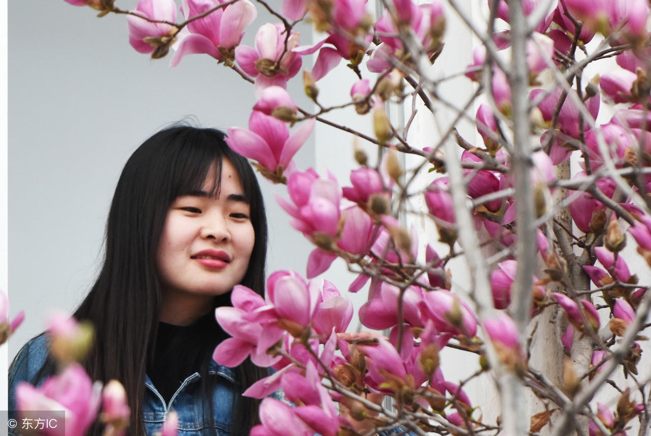 性情温顺的人好吗,性情温顺的人