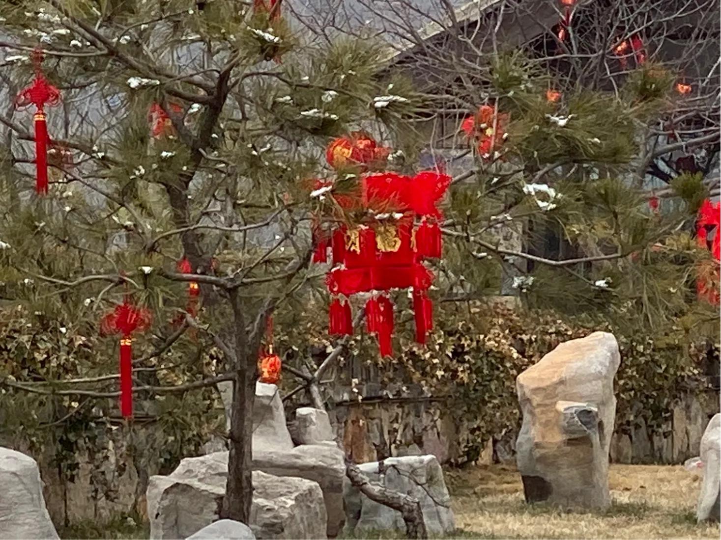 【初三】14、墙外看太行山中＂云上的院子＂依然很美