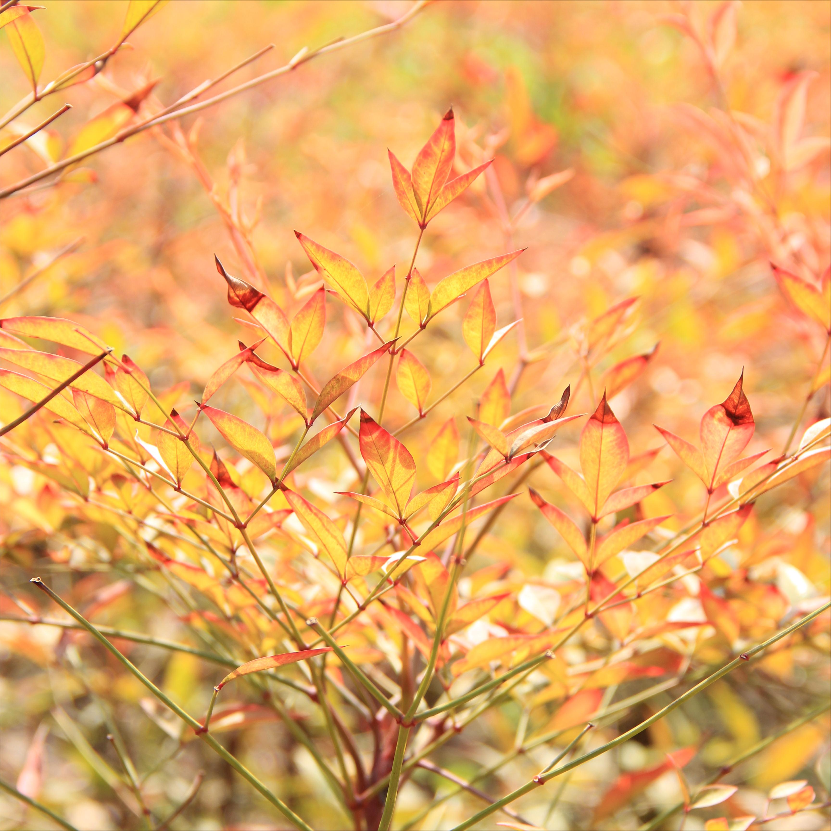 如何愉快的度过孕期,怎样规划自己的孕期生活
