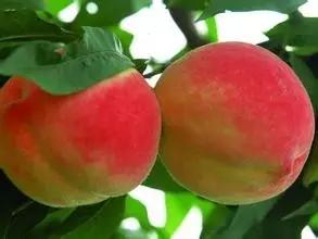 盘点北京十六区,北京哪个区最适合生活