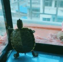 网上买的连衣裙到货了，店家连夜打电话跪求删除好评照片太尴尬了