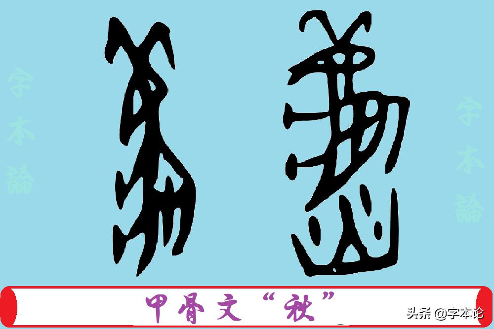说“蝗”：一种与皇上攀上亲戚的害虫到底有着怎样的“成名”史？