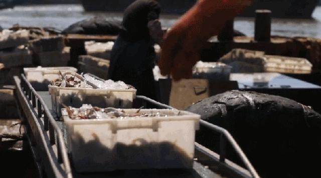 300公里外的“海鲜世家”登陆浦东！想吃要等8小时……