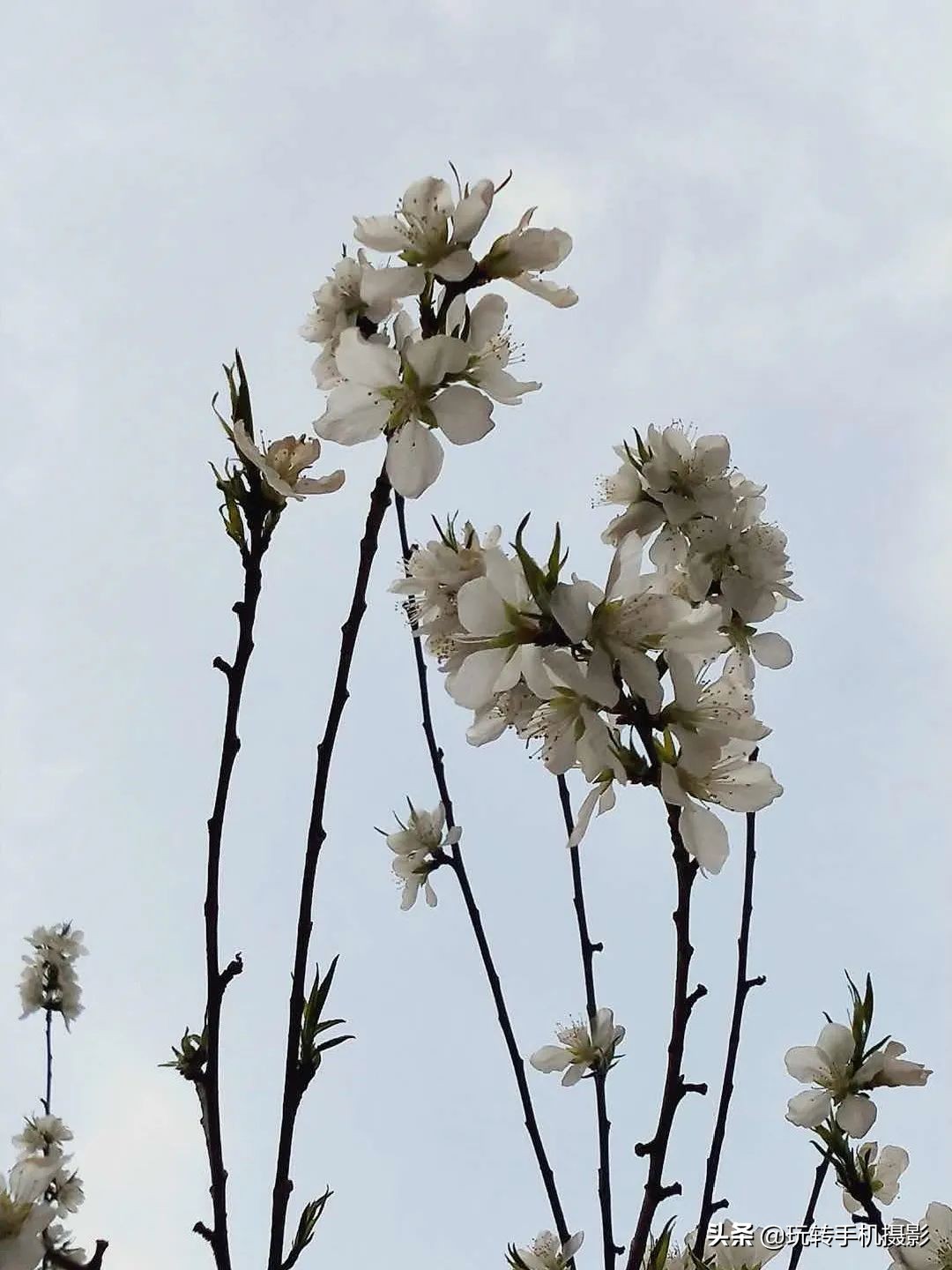 曲线如何调色详解教程,曲线调色技巧和方法