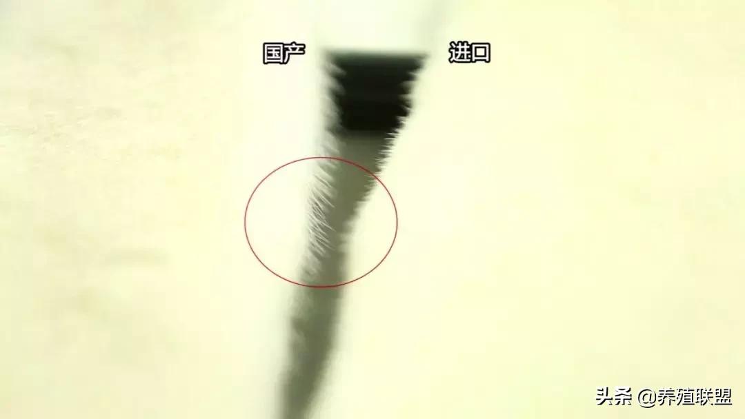 几千和几百的皮衣,一千块可以买什么档次的皮草