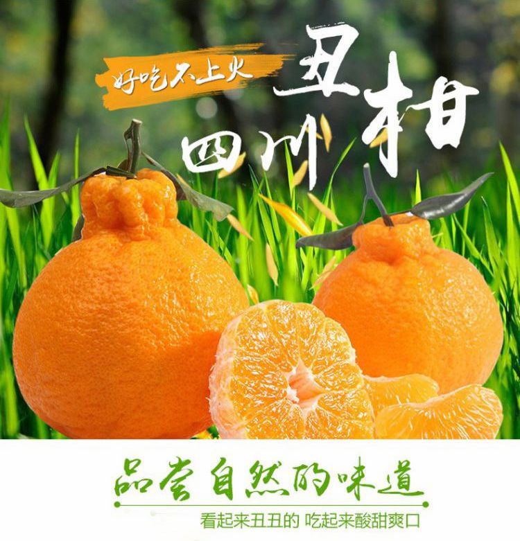新鲜特价丑橘四川耙耙柑,四川丑橘新鲜耙耙柑