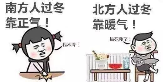 莲菁华,莲菁华胶囊