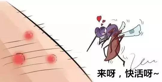 为什么蚊子总是叮我和宝宝,为什么蚊子一直独宠你