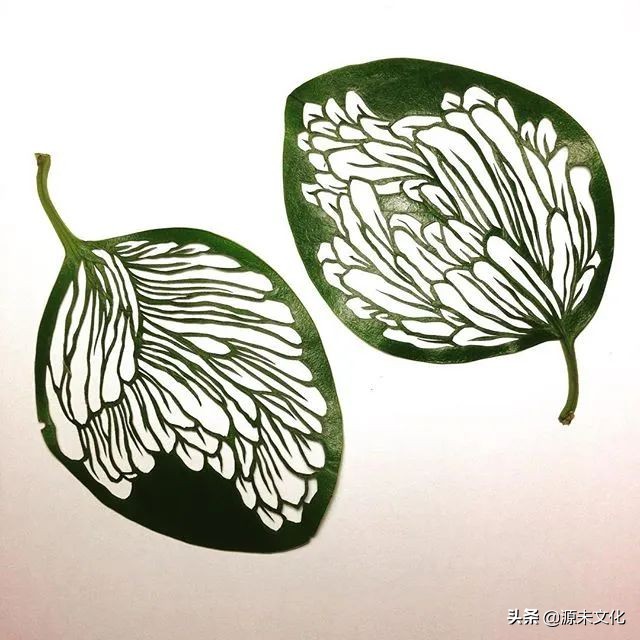 最失败的垃圾分类,目前常用的垃圾分类