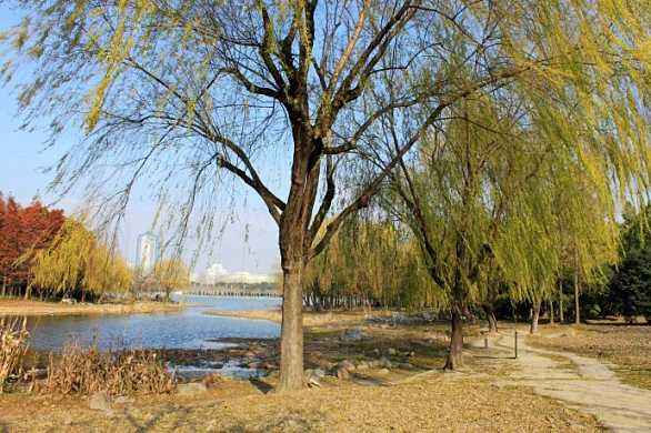 王之涣的凉州词被谁称为七绝之最,凉州词唐王之涣的历史事件