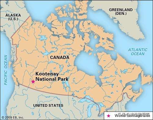 古生物学家发现新恐龙物种,1亿年前海洋中最大的捕食者