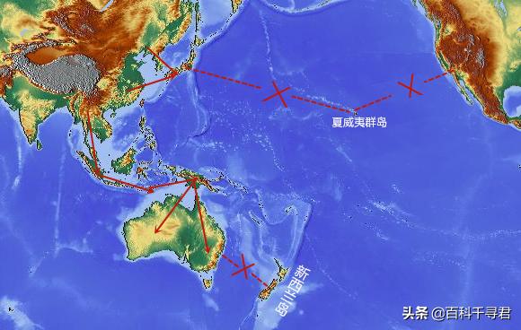 有哪些非常非常可怕的蛇类,人们最害怕的是大型蛇类