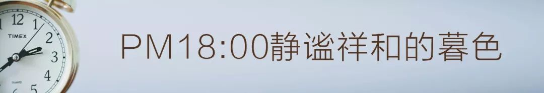 太太的一天，在永丰乐城·公园里的慢调生活时光