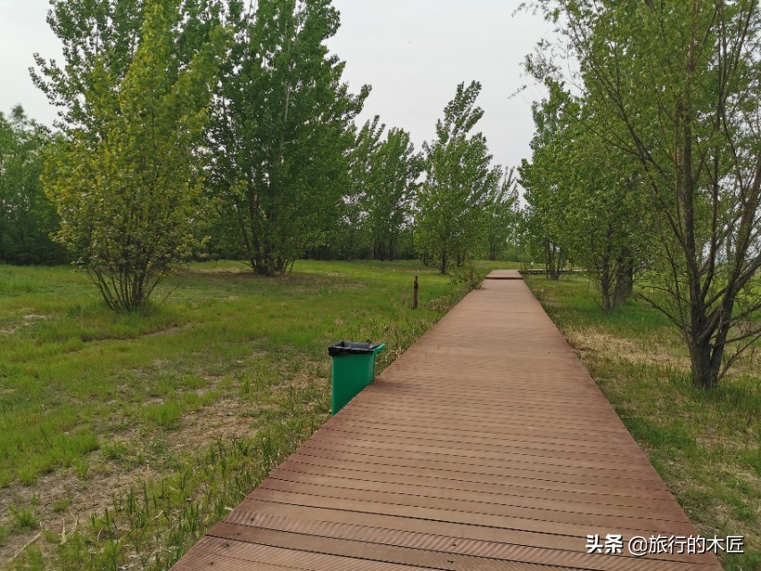 黄河湿地公园郑州要门票吗,郑州黄河湿地公园是否免费