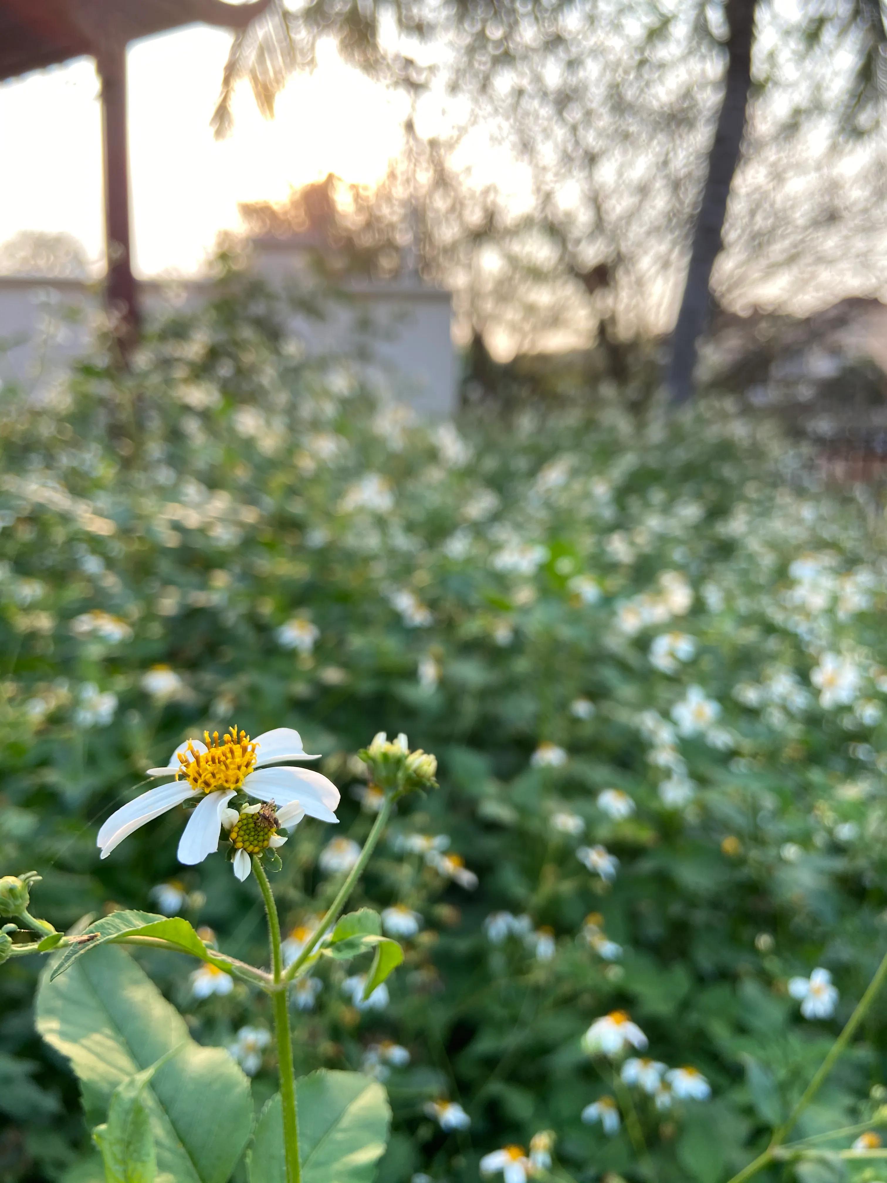 海口买房血泪史,海口买房最新政策