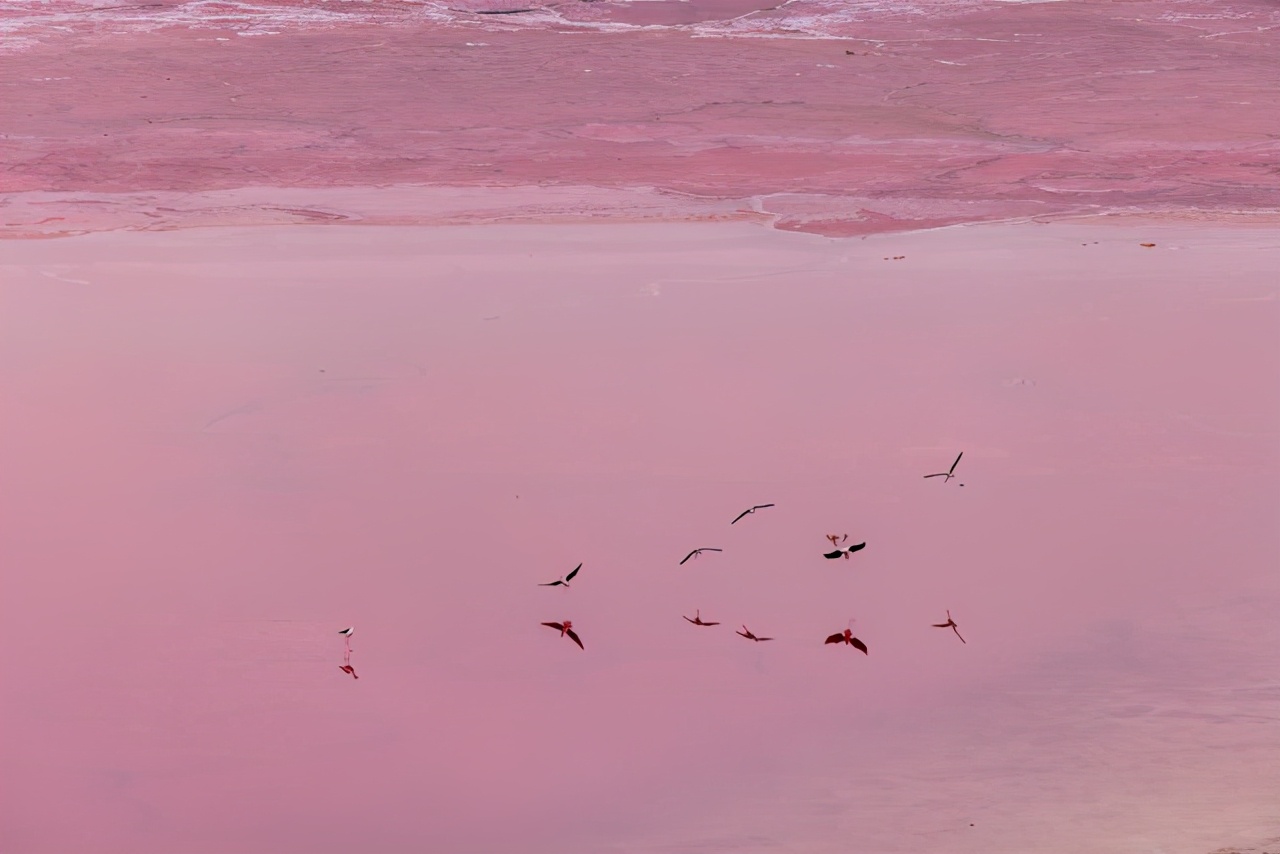 从青海到巴丹吉林沙漠，用实战解读EOSR5