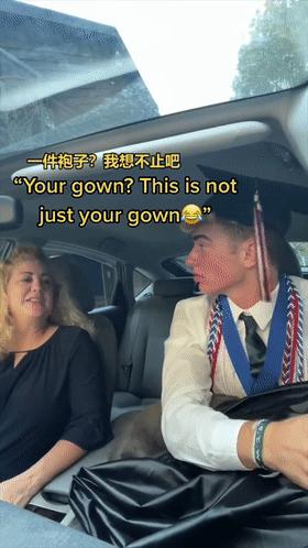 给狗拔牙视频金毛,金毛狗狗拔牙