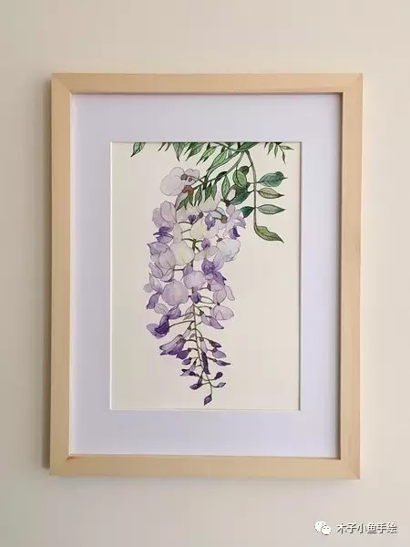 紫藤花水墨教程,紫藤花水粉画法步骤图