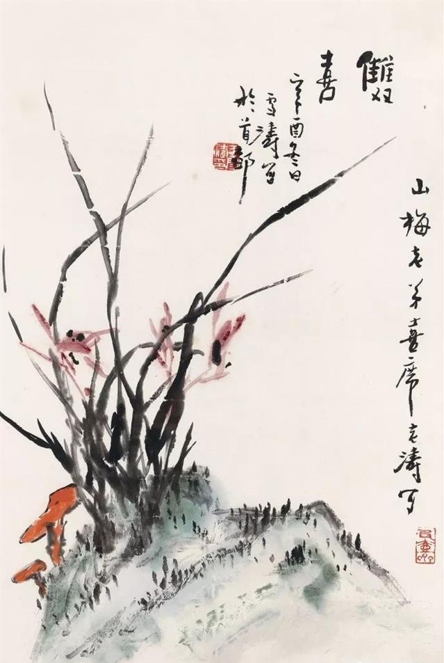 淡彩兰花100幅,顶级淡彩兰花图片