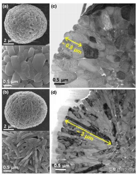 能源周报：Science、JACS、Angew.、AM、Chem等大合集
