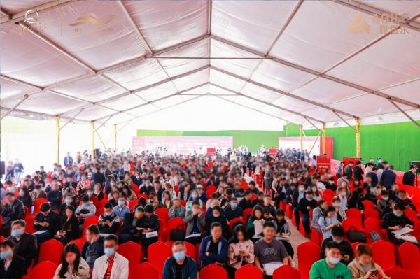 雅居乐汇港城18000,雅居乐汇港城最新成交价格