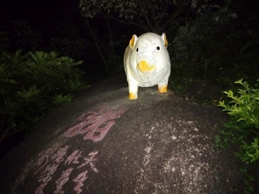 珠海的特色是什么,珠海的吉大是什么