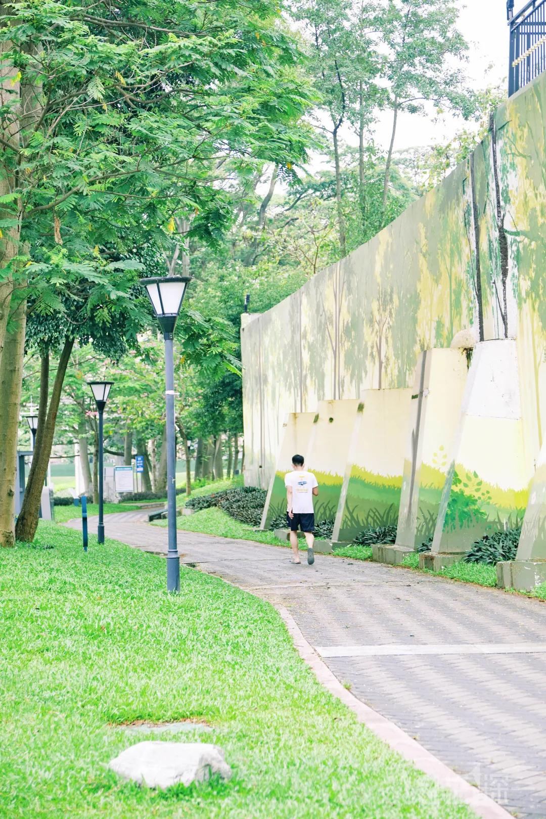 深圳八大绝美公园,山水公园深圳