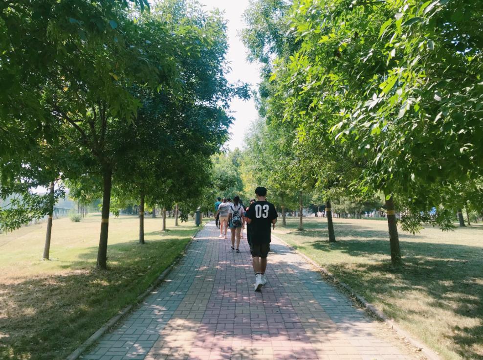 石家庄学院合集,石家庄学院校内