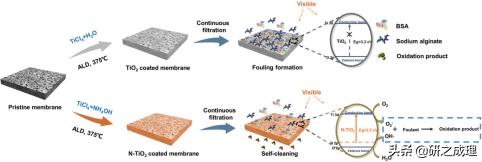 催化周报：Science、JACS、Angew、AM等大合集