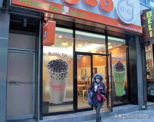 国货出海项目是真的吗,国货品牌何去何从