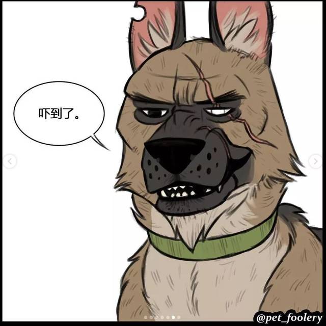 这反差萌也太有爱了，实力宠喵没商量！