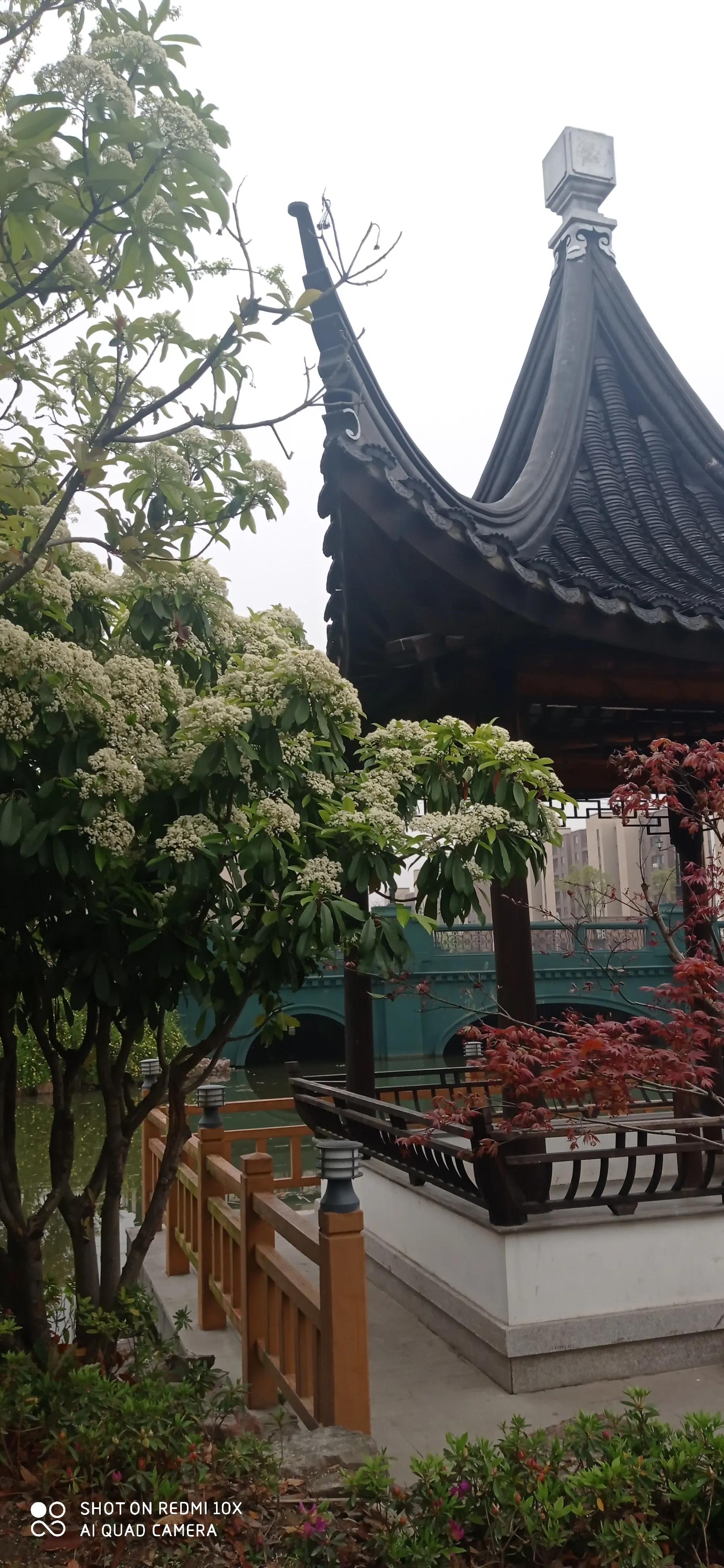 *制抵**解决不了国货品牌不强的问题；服务和质量，还有就是品牌管理