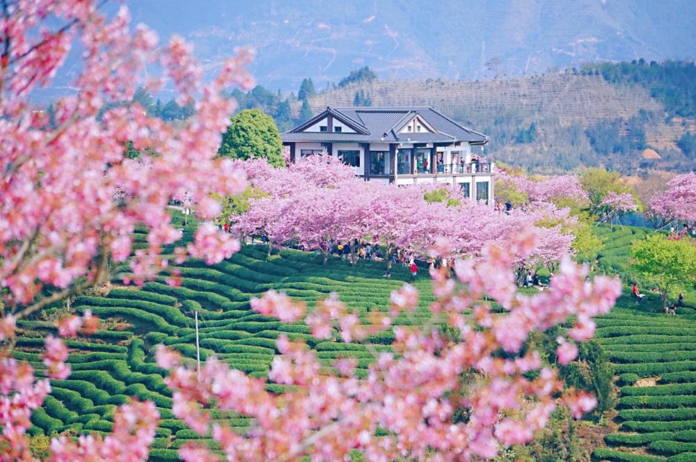 四月去哪儿旅游风景好看,三月旅游地推荐莫辜负迷人春色