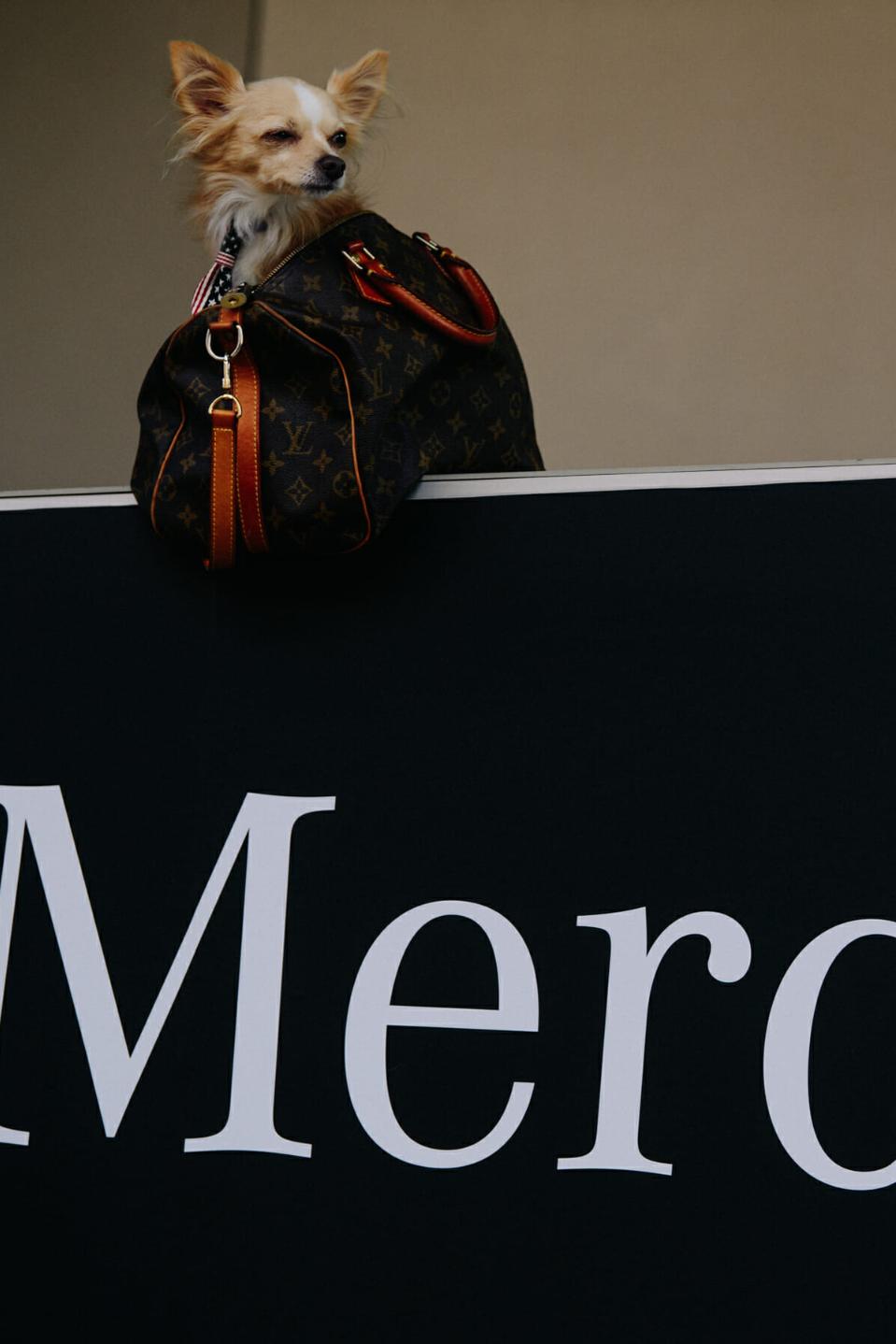 海底捞涨价大众点评,海底捞涨价道歉时评