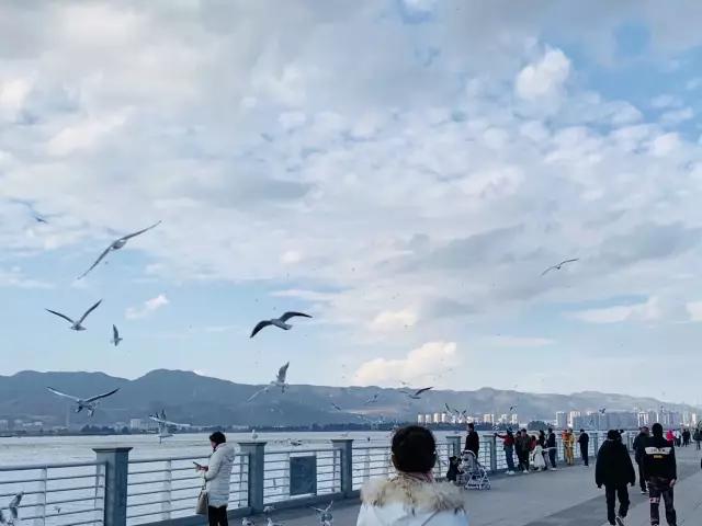 昆明是浪漫又土豪的城市,昆明是个很浪漫的城市