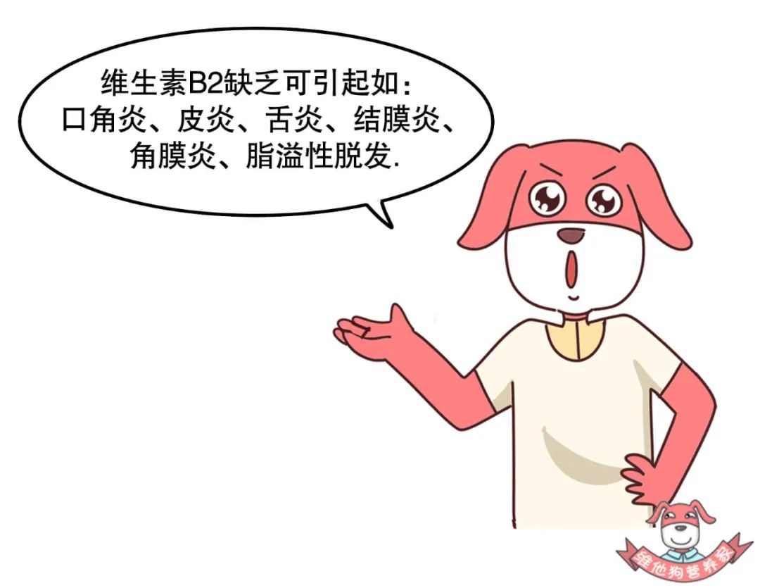 纯牛奶和酸奶哪个补钙效果最好,纯牛奶和酸奶哪个营养最好