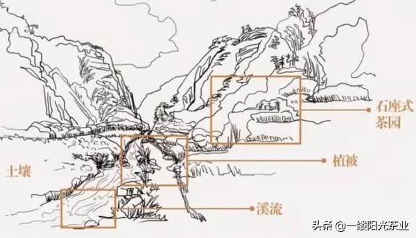 300块一斤包邮的茶叶和大几千上万的茶叶有区别么？