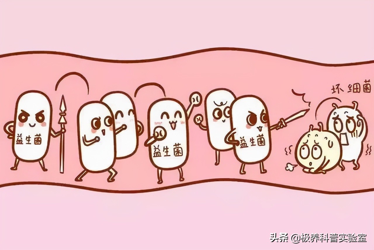 婴幼儿益生菌口碑最好的前十名,益生菌婴幼儿排行榜