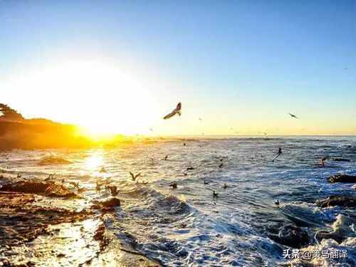 在蒙特雷工作生活,在世界顶级大学上学什么感受