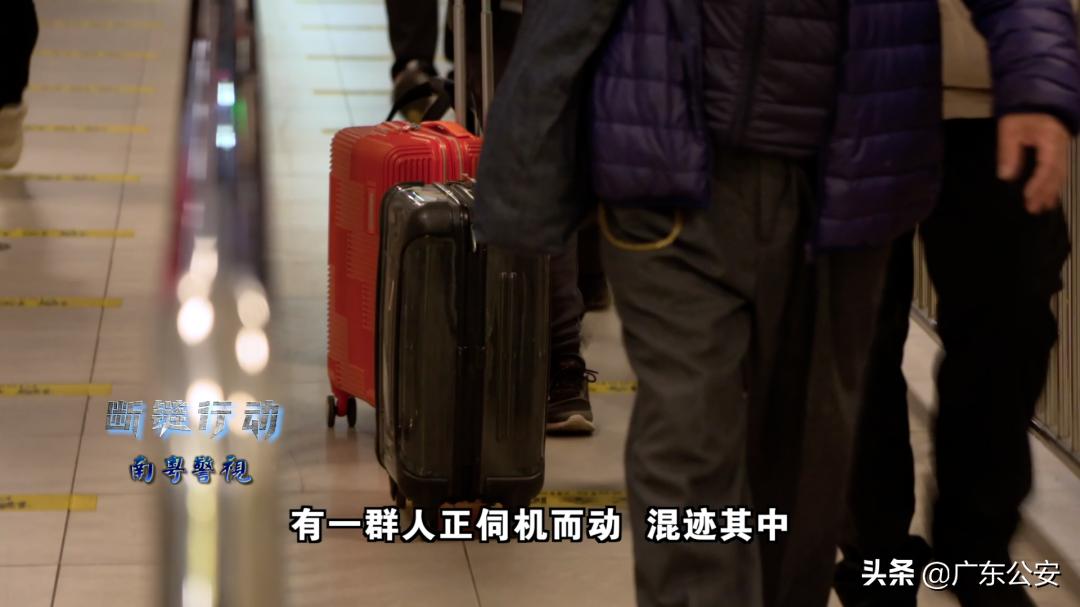 雇佣“新人”带货，特大*私走**团伙企图蒙混过关？