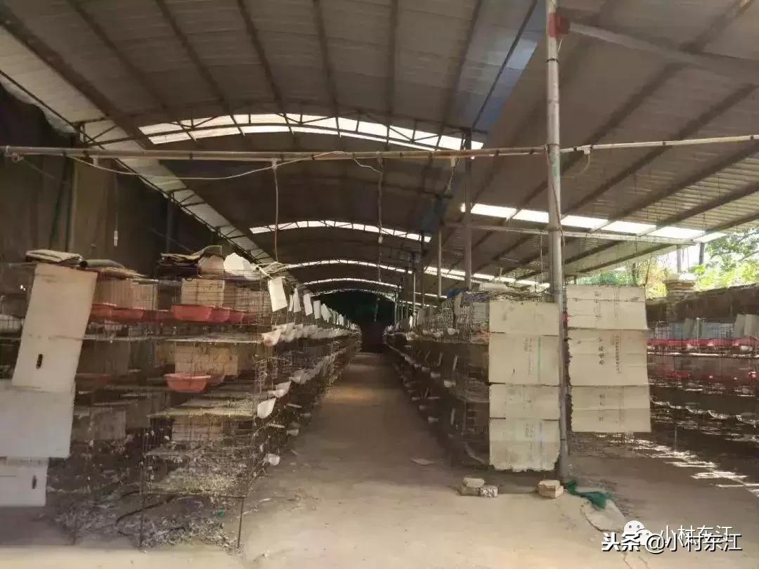 供销社与村委会有什么联系,供销社和当地政府的关系