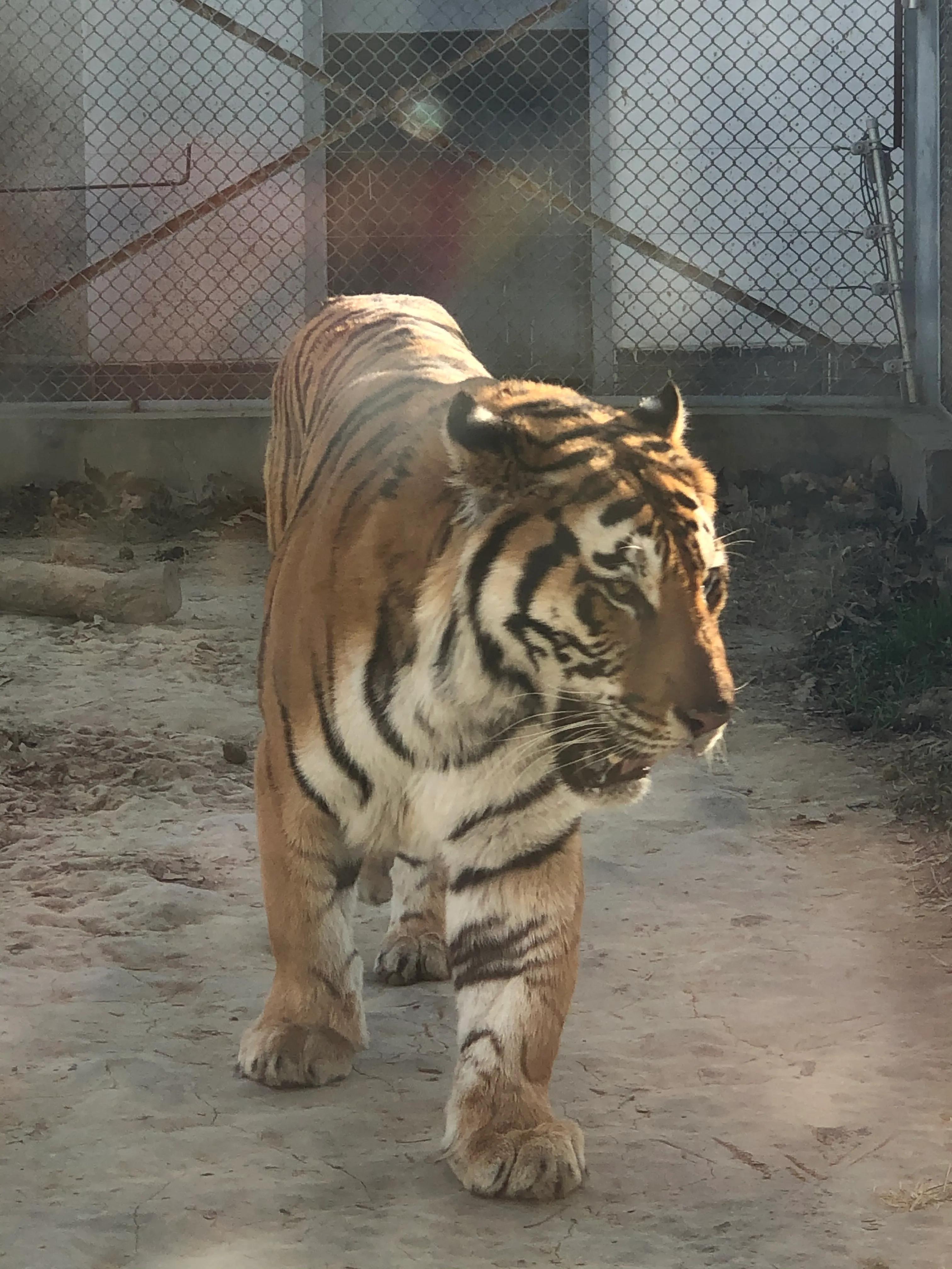 平顶山河滨公园旅游攻略,平顶山森林公园游记