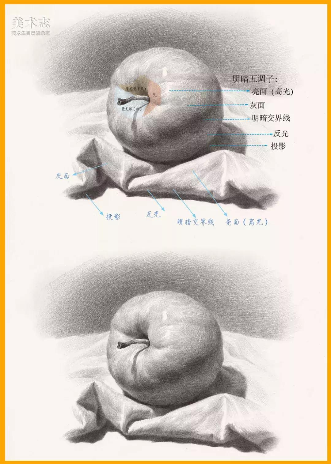 素描常见水果,适合新手的100幅素描画蔬菜水果